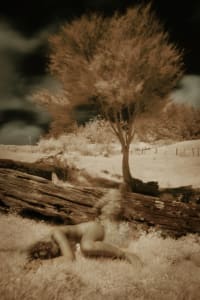 Dreamweaver_1 Proof 1