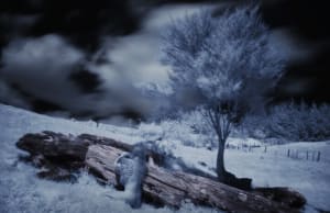 Dreamweaver_2 Proof 1