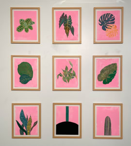 "The Filament Plant Series"