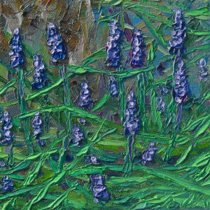 BM02-17, Bluebells (Muscari)