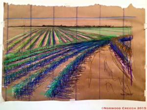 View across a Curve in the Bean Field, Poinsett County, Arkansas