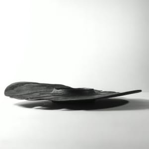Burned platter