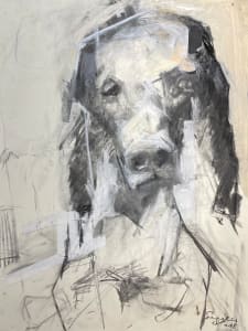 A Dog