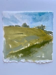 meadow on the way