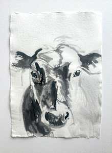 cow portrait in ink