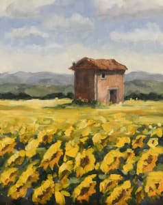 France Sunflower Study