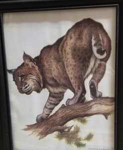 Print (Bobcat)