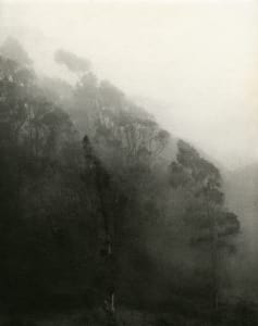Fog, Diagonal