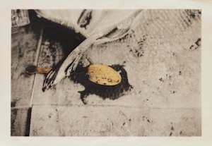 Untitled (From the Series The North)