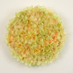 A Pocketful of Posies 1