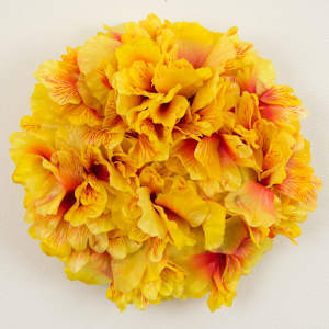 A Pocketful of Posies 9