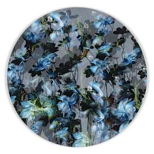 Kaleidoscopic Floral Study 16