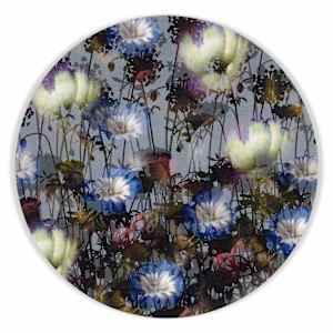 Kaleidoscopic Floral Study 26