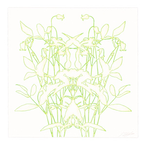 Lace study 6 (bell clematis)