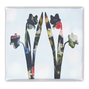 Offsets and Suckers 24