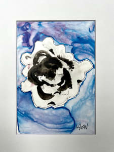 Blue Violet Rose
