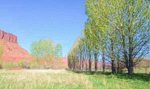Castle Valley Study