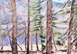 Cub Lake, through the trees