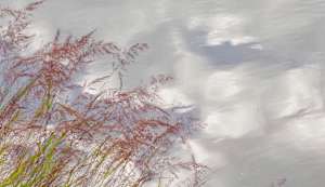 An Evening in the San Juan Mountains 5