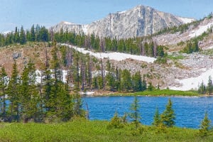 Springtime Landscape