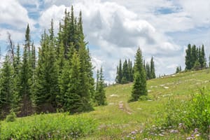 Wyoming Landscape, with Clouds