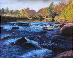 Cooper's Hollow Creek