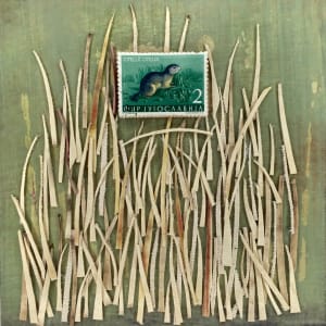 European Ground Squirrel