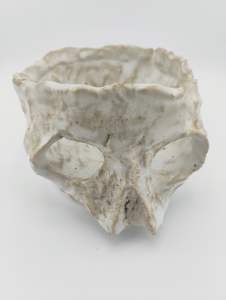 Skull Bowl