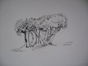 Pen & Ink