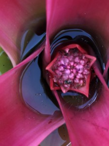 After the rain. Photography