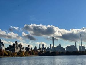 View along the Great Lawn - Central Park