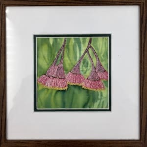 Flowering Pink Gum #2
