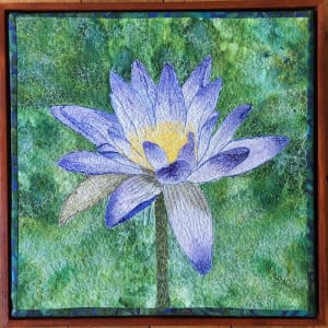 Blue Waterlily