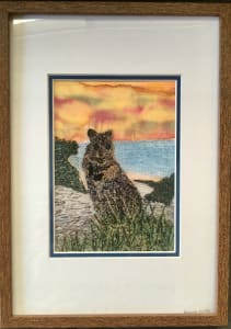 Quokka #4