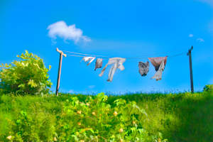 Summer Breeze