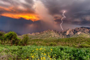 Catalina State Park in a Storm