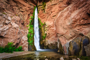Canyon Oasis - Grand Canyon