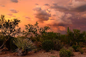Storm Clouds at Sunset, Catalina Mountains