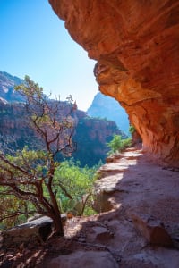 Boynton Canyon Trail