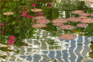 from Reflections series (2)