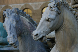 Horses in Florence, Italy