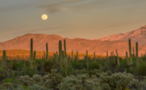 Moonrise Over Sabino Canyon
