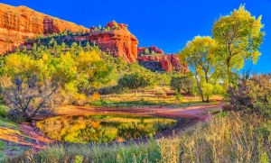Red Rock Canyon Beauty