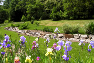 Rainbow on the Hill - Presby Iris Gardens