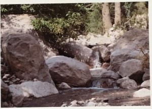 Chiricahua Mountains Waterfall  