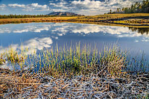 Marshall Lake