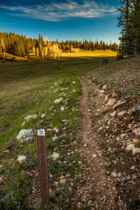 Arizona Trail