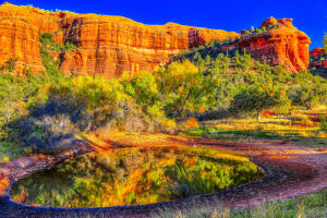 Watering Hole Reflection