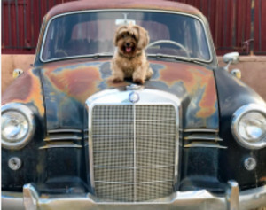 Mordi on Mercedes Benz
