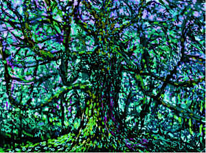 Tree in blue Applecross